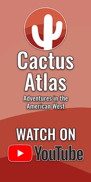 Cactus Atlas on YouTube
