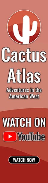 Cactus Atlas on YouTube