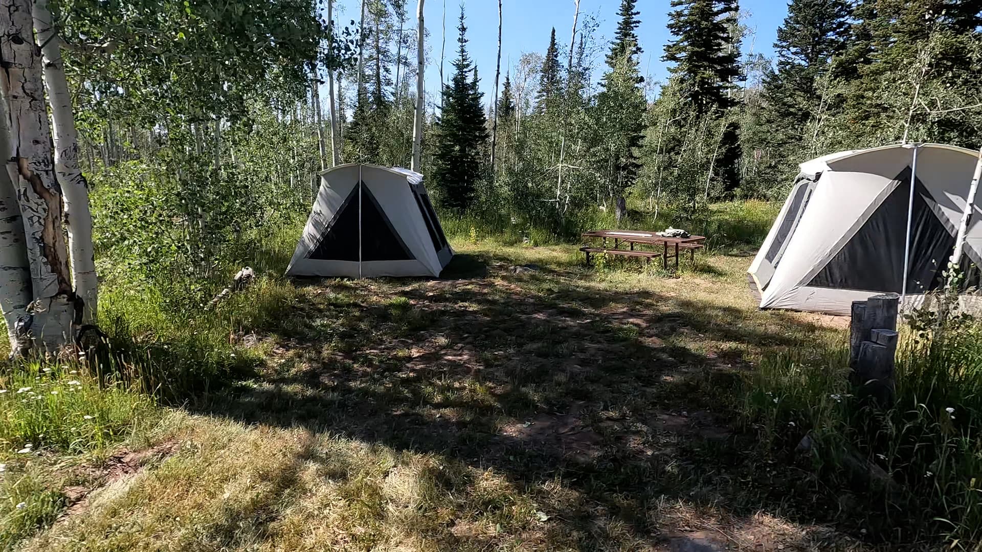 Site 6