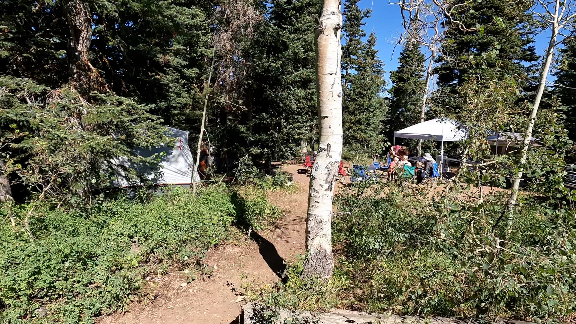 Site 2