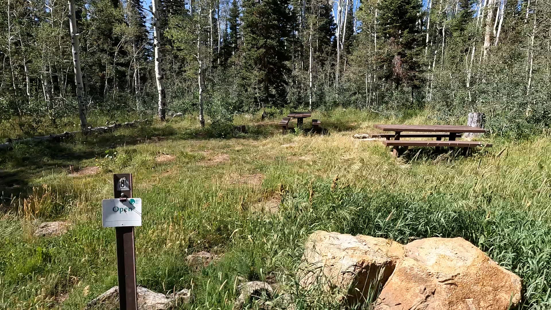 Site 8