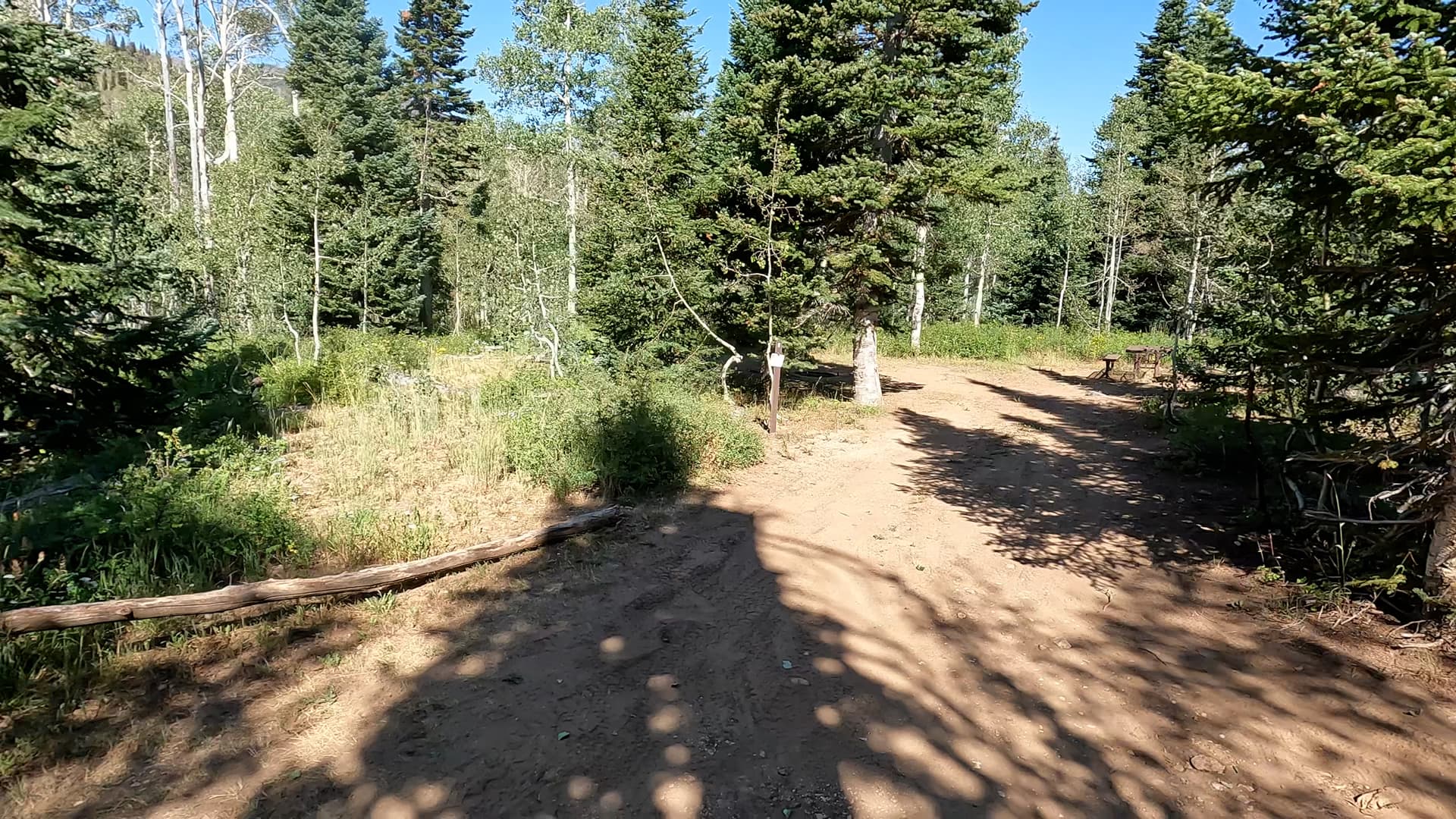 Site 4