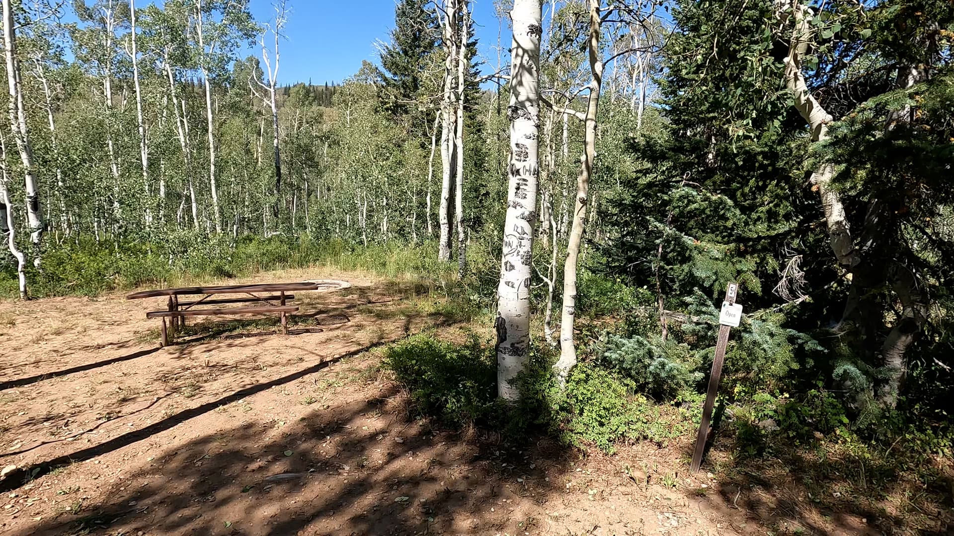 Site 5