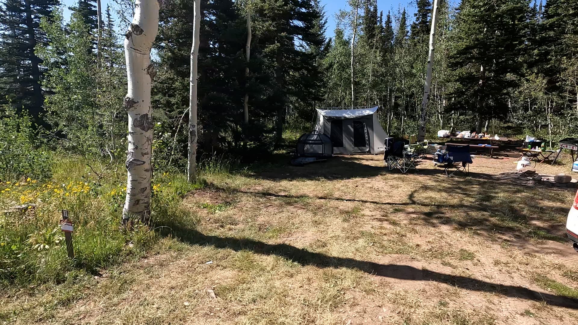 Site 7