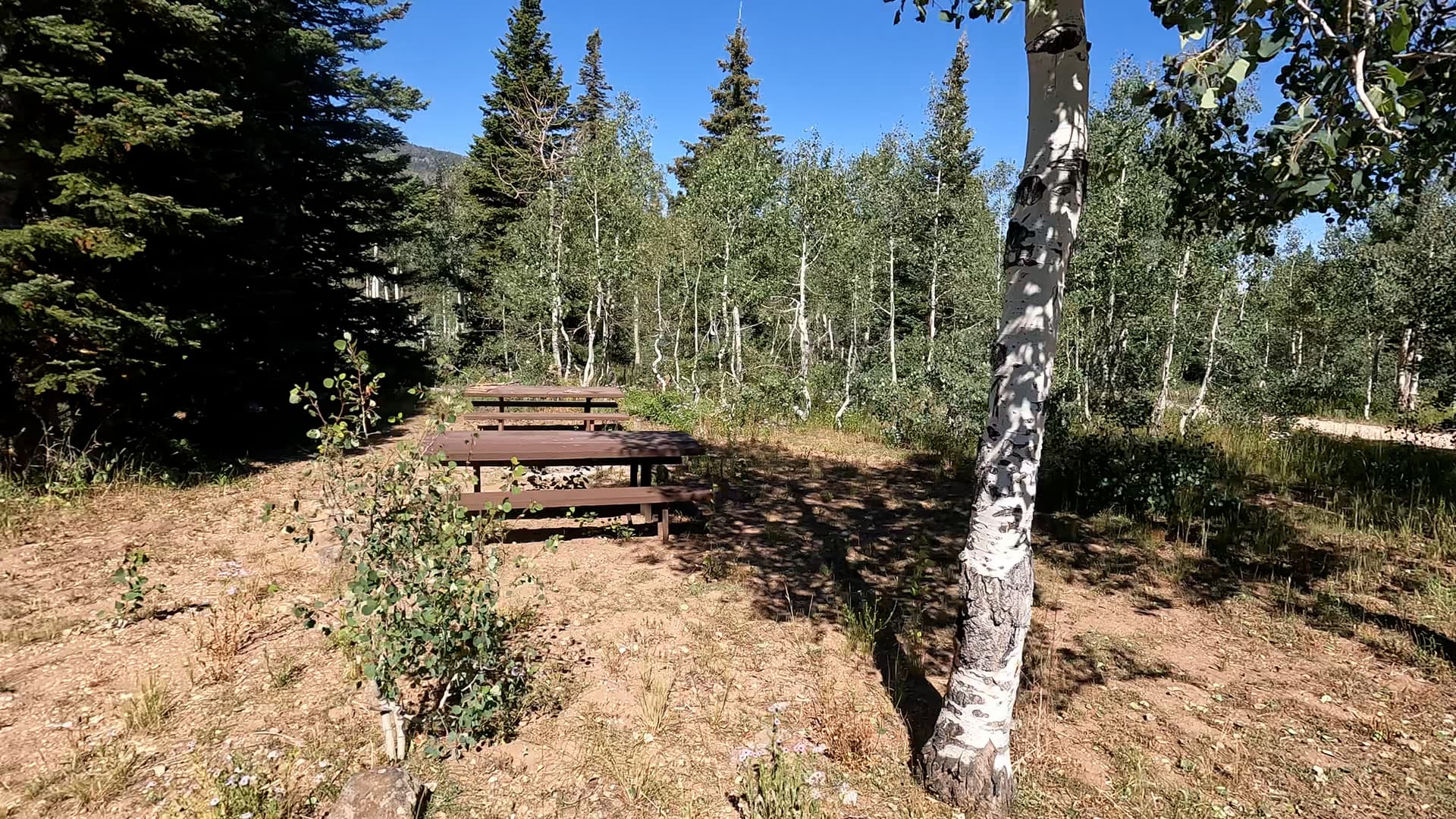 Site 1
