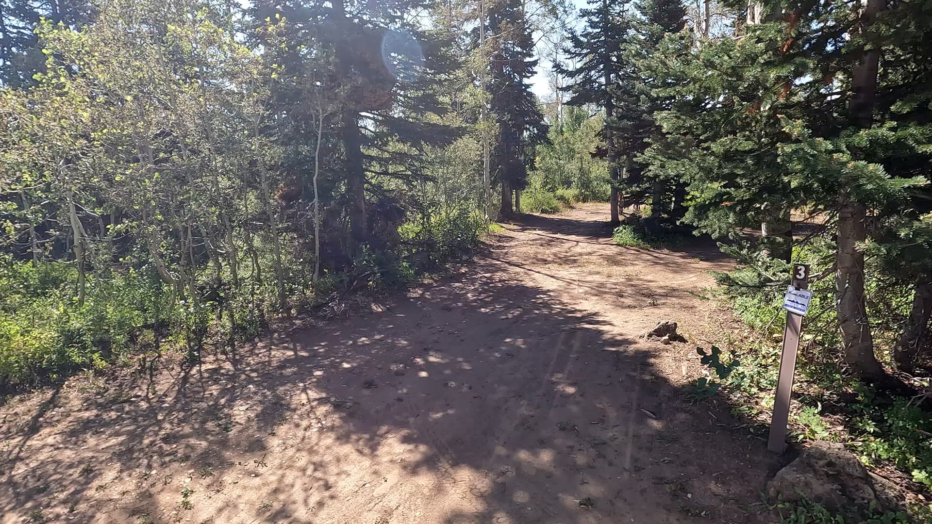 Site 3