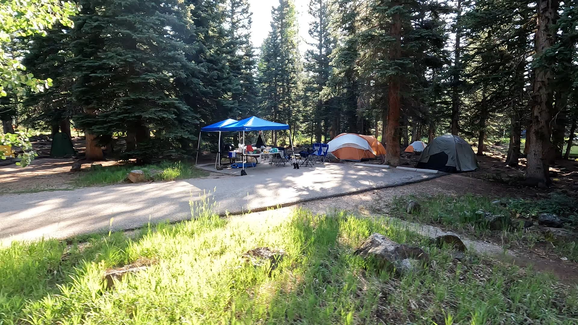 Site 5