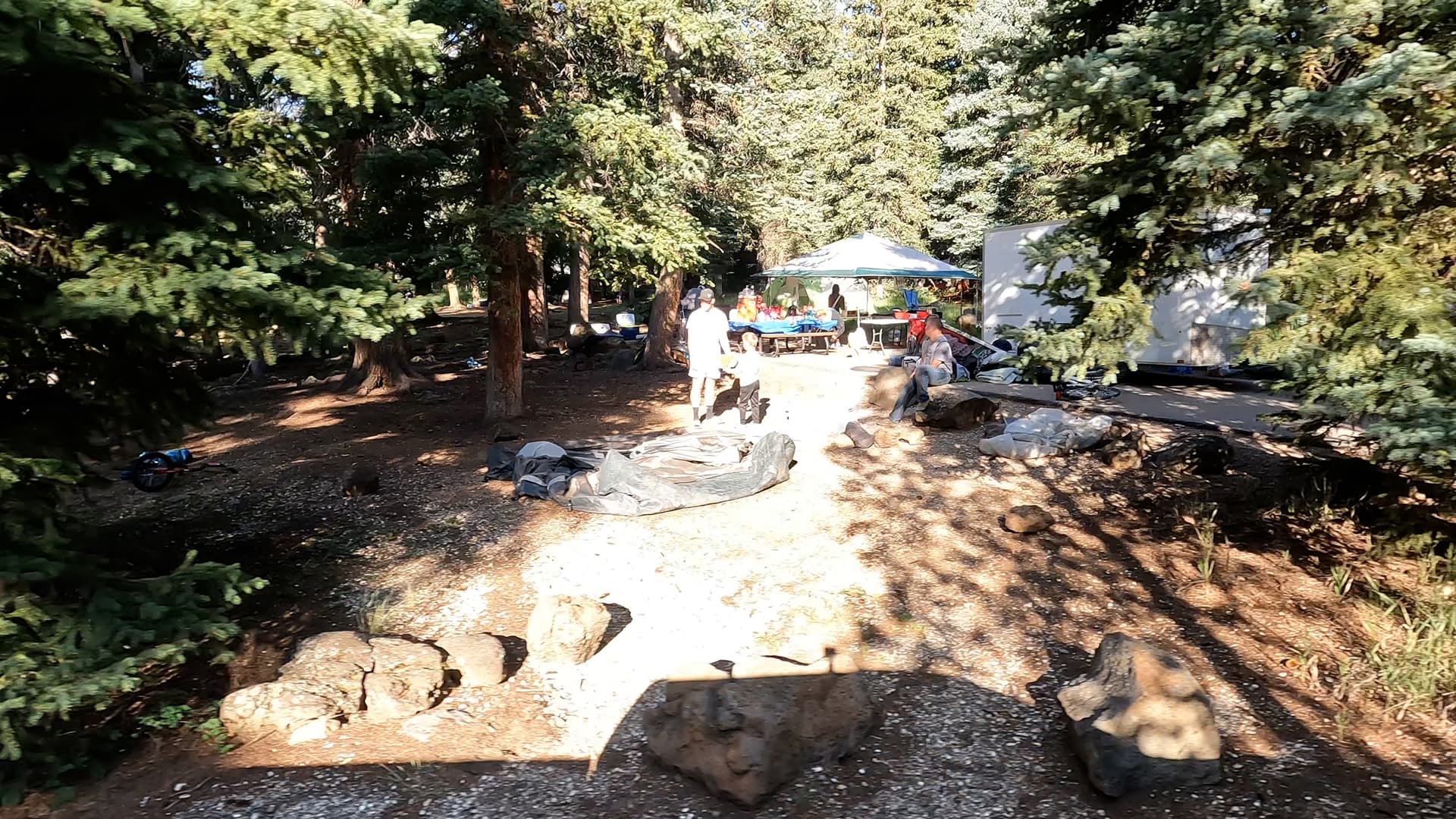 Site 6