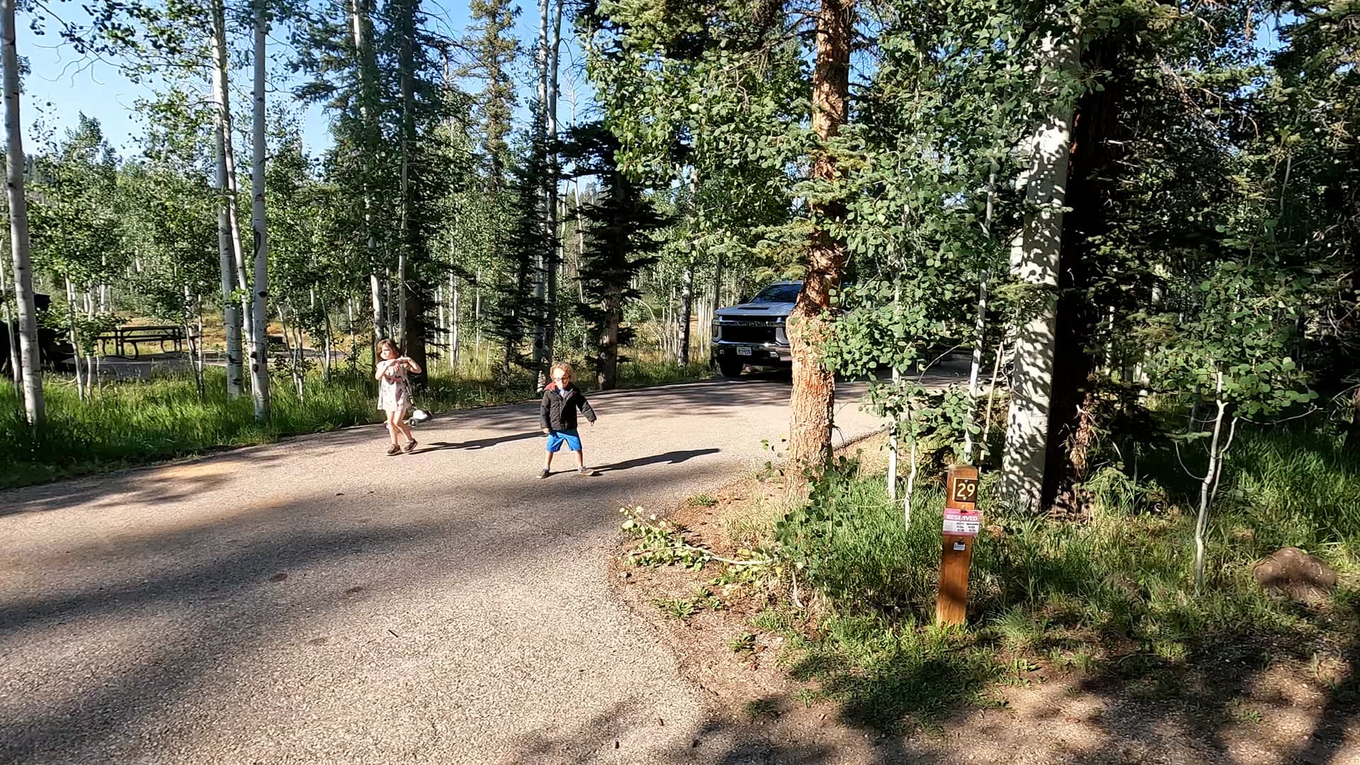 Site 29