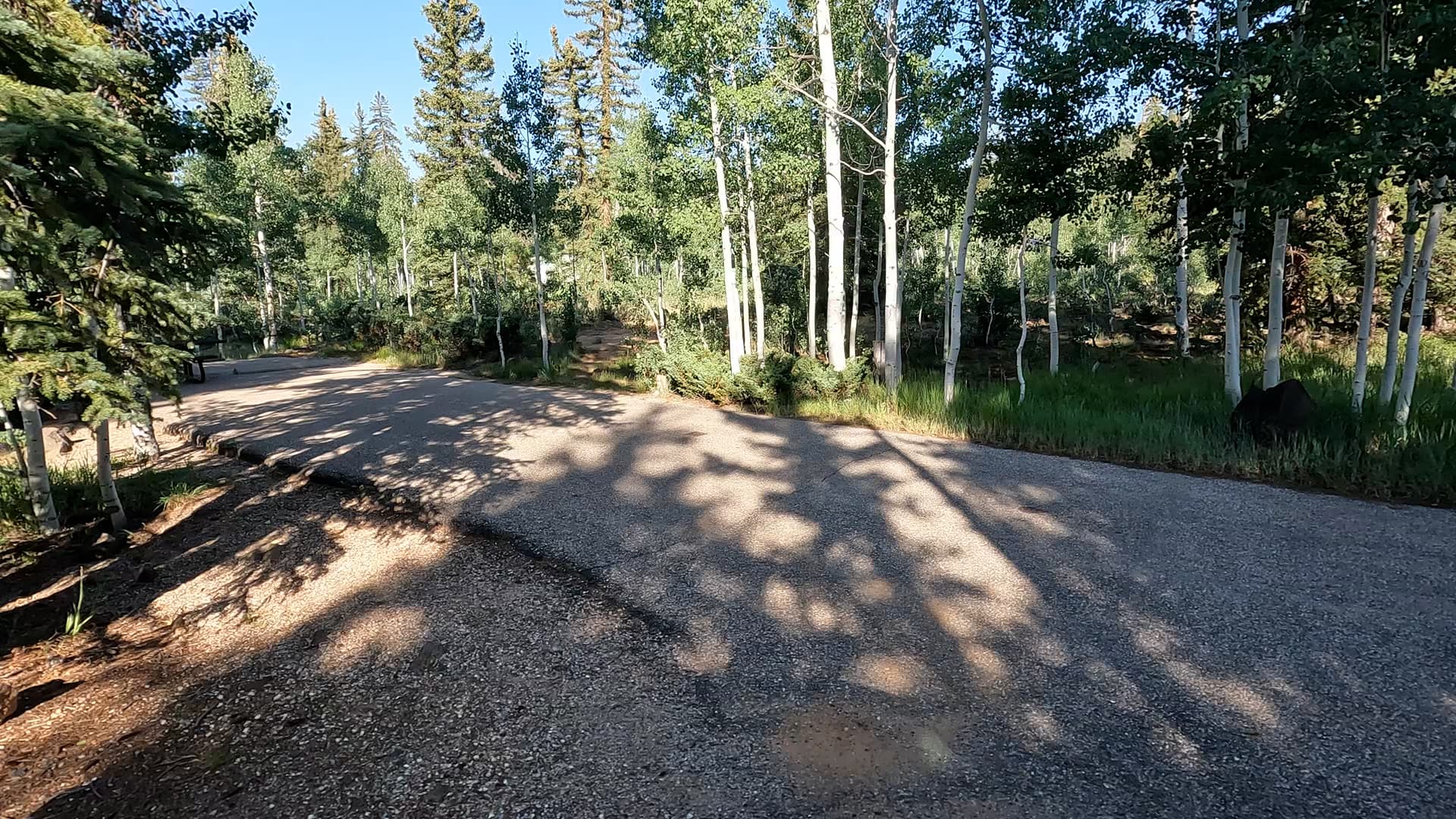 Site 10