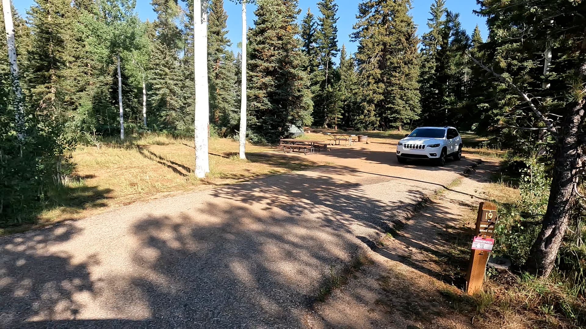Site 19