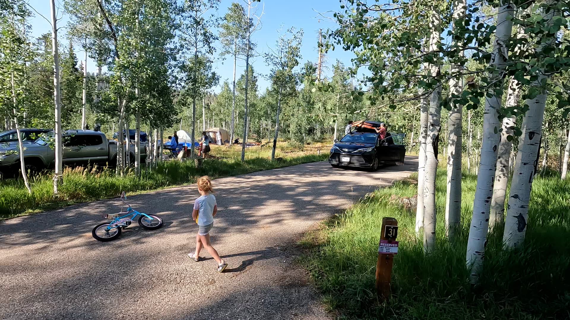 Site 31