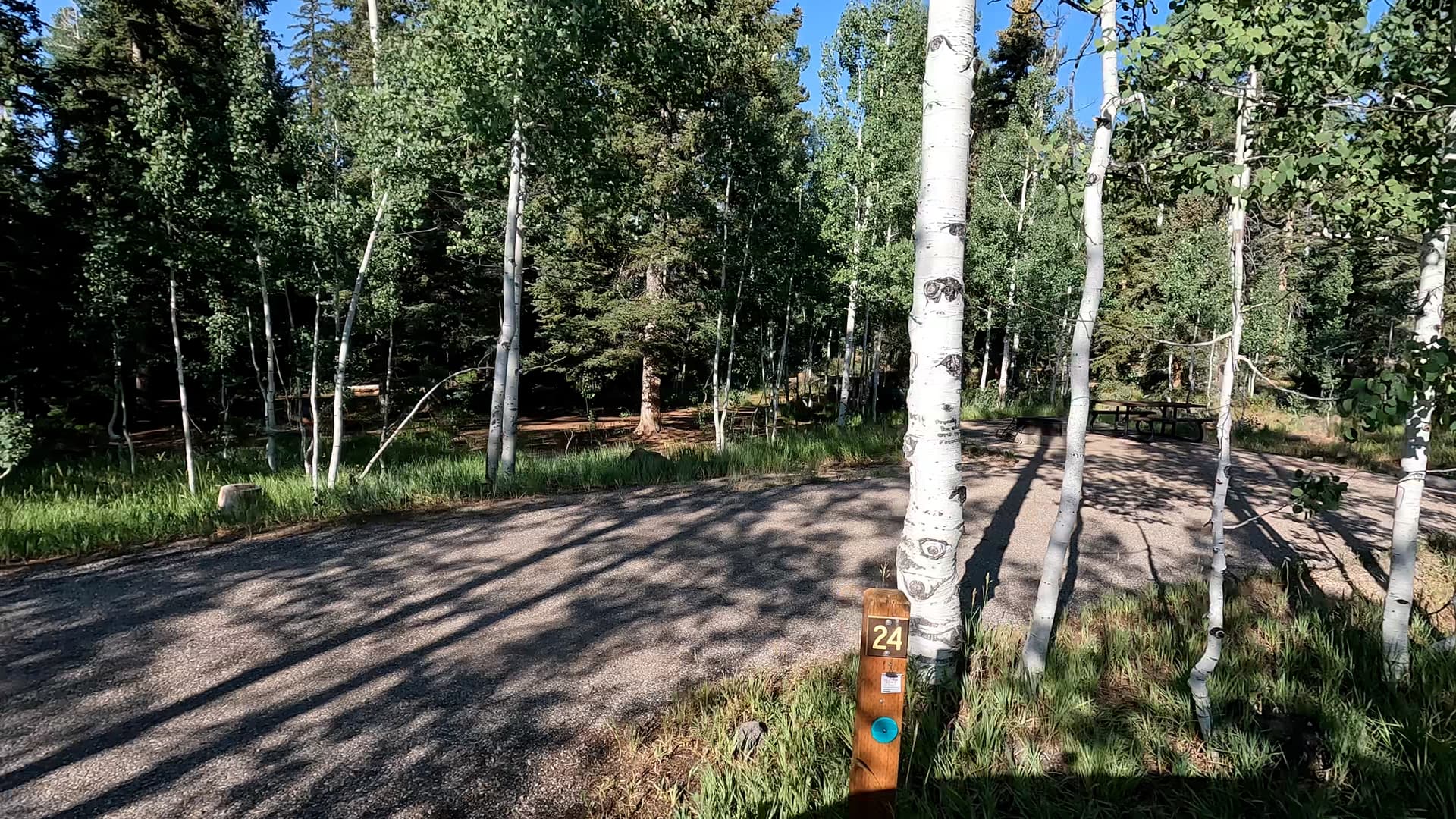 Site 24