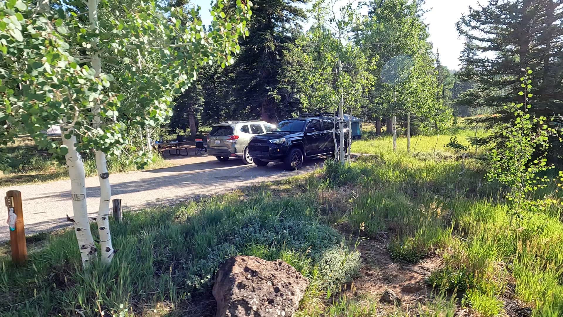 Site 15