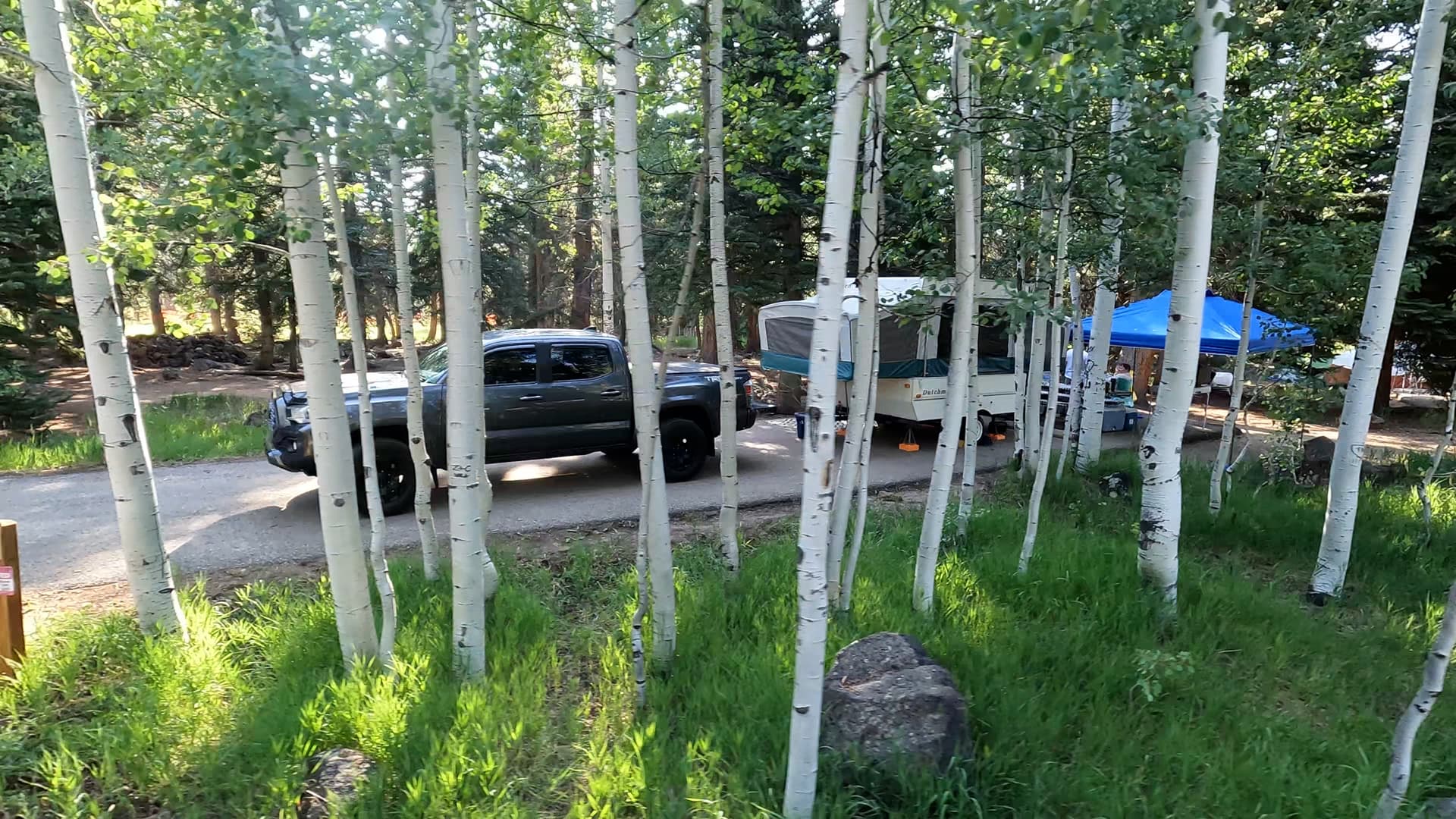 Site 7