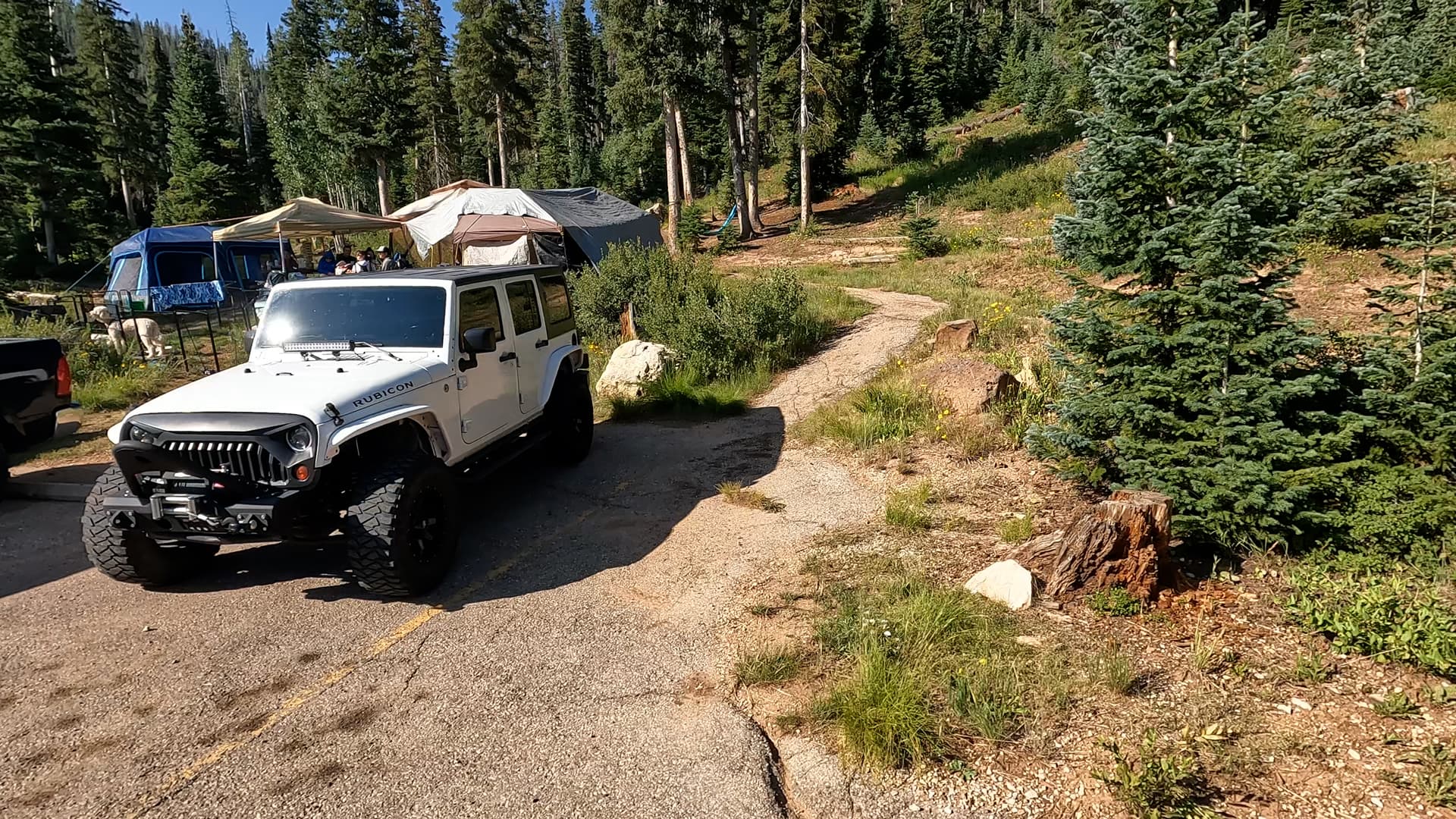 Site 8