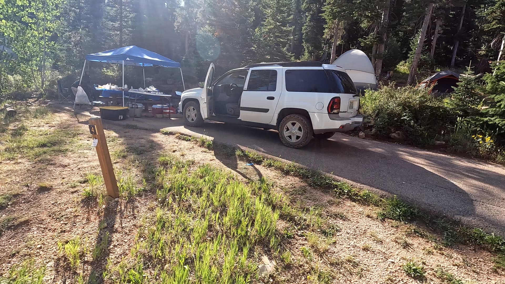 Site 4