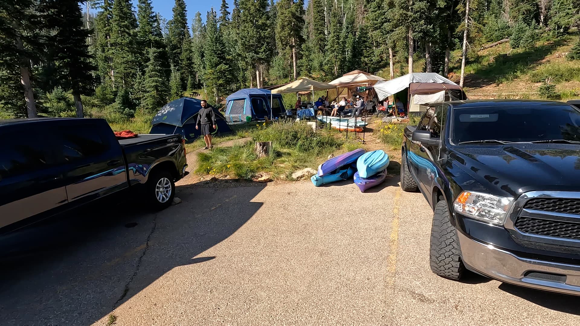 Site 7