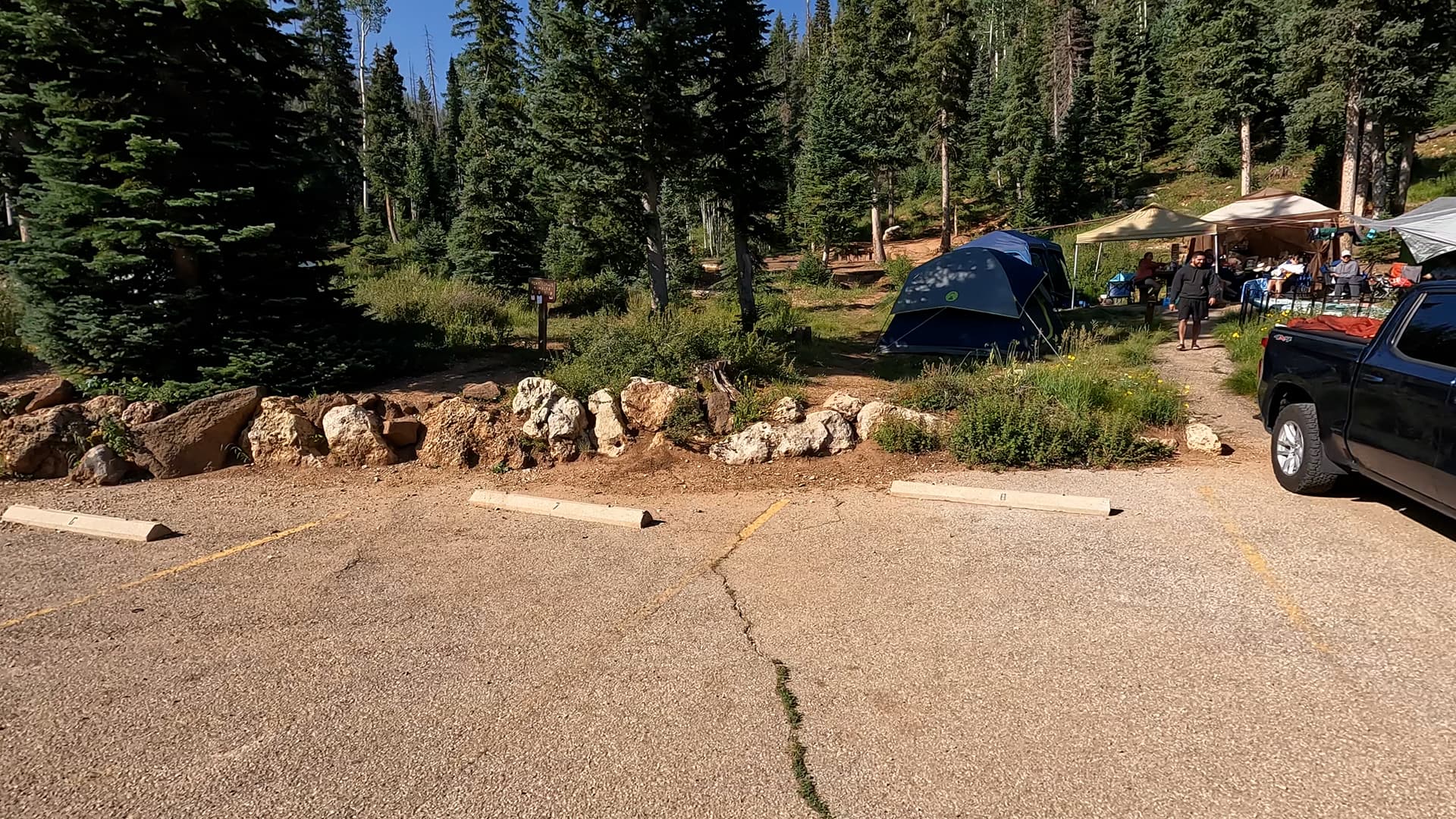Site 6