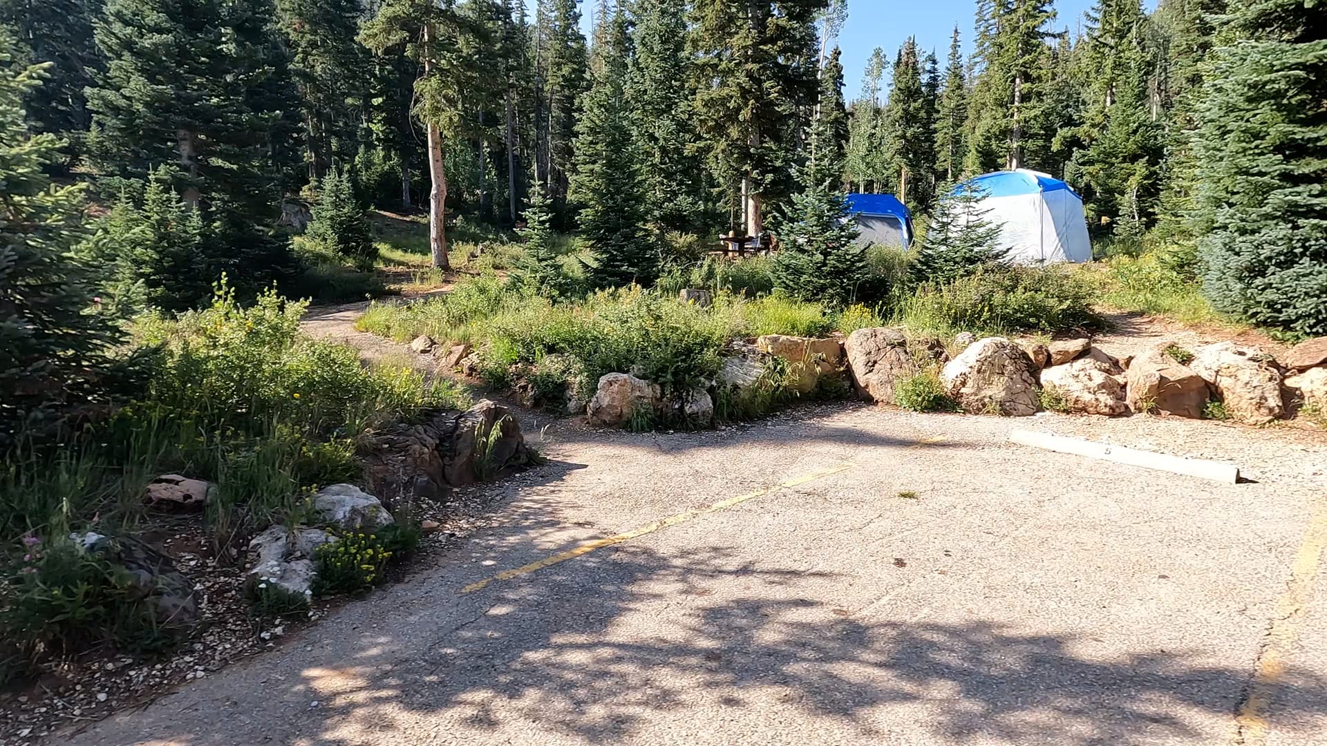 Site 5