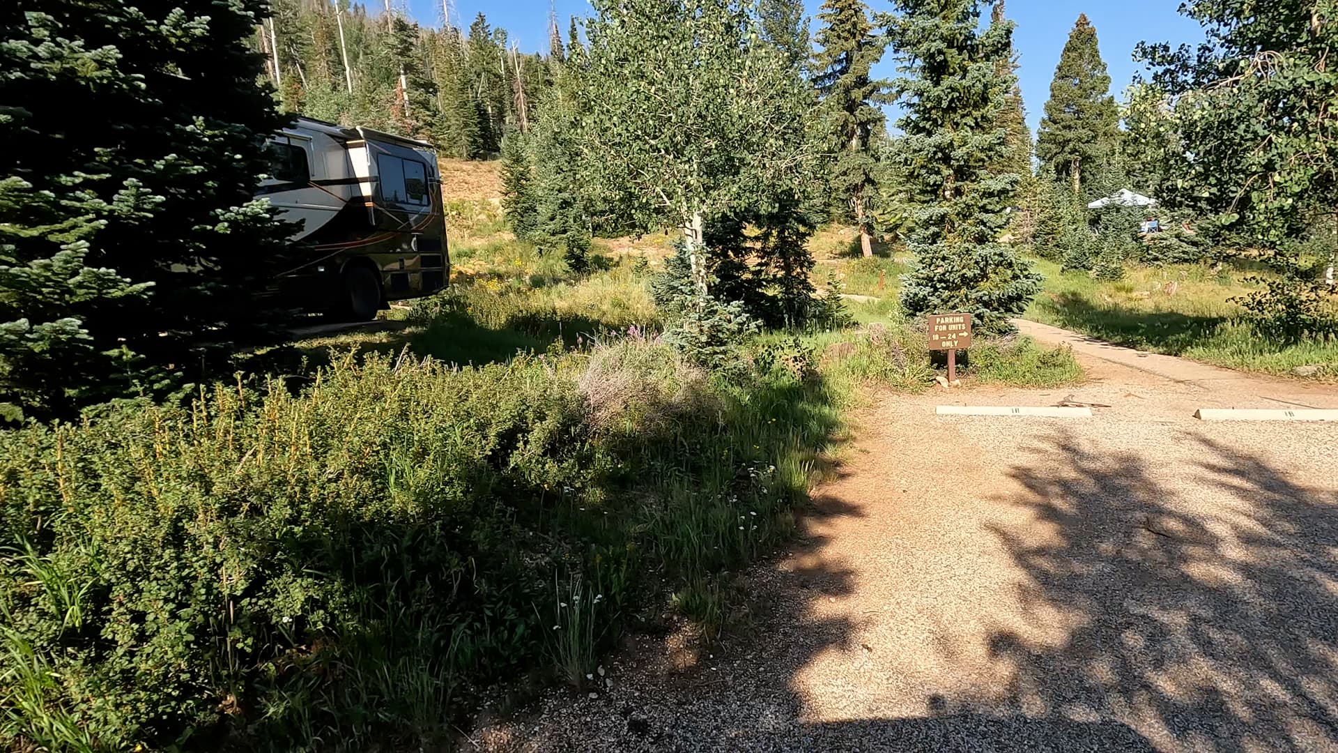 Site 24