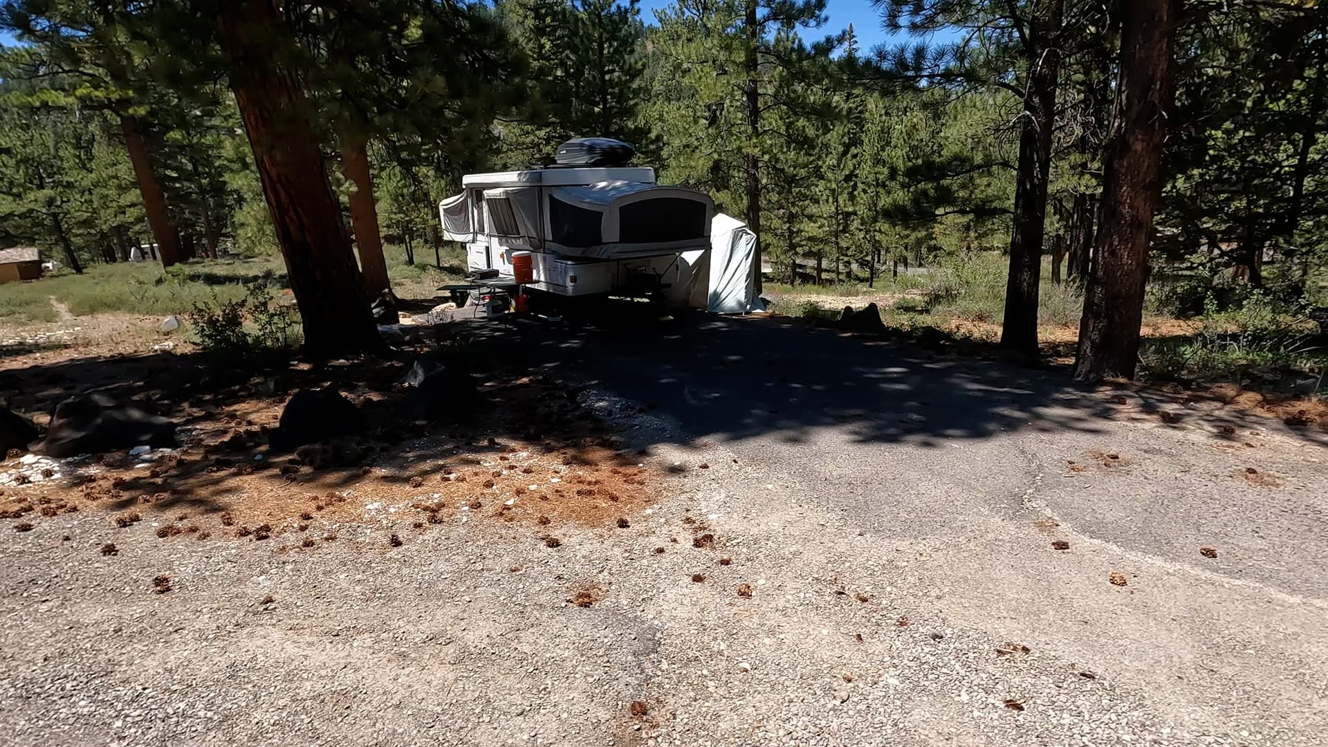 Site 37