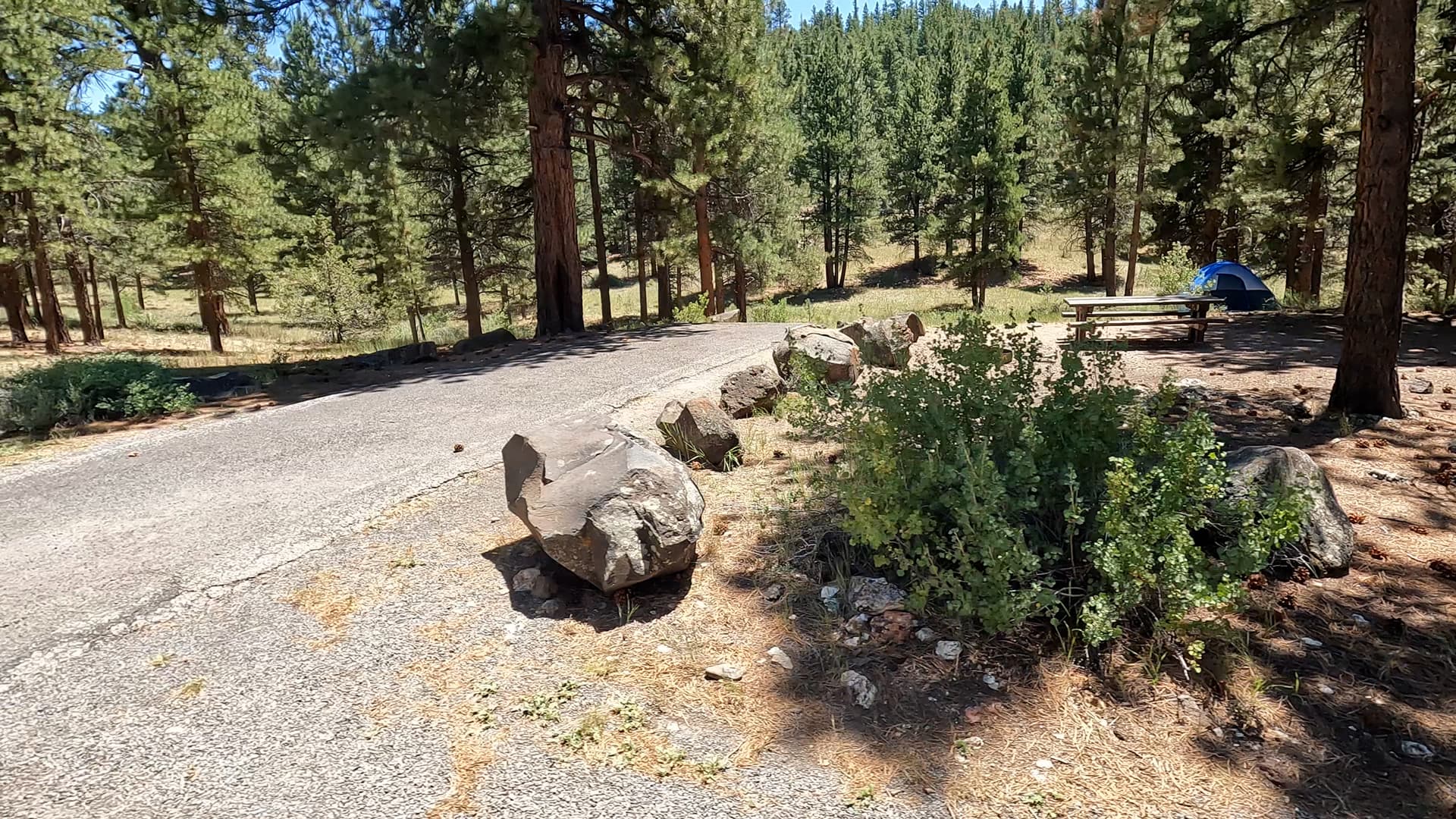 Site 33