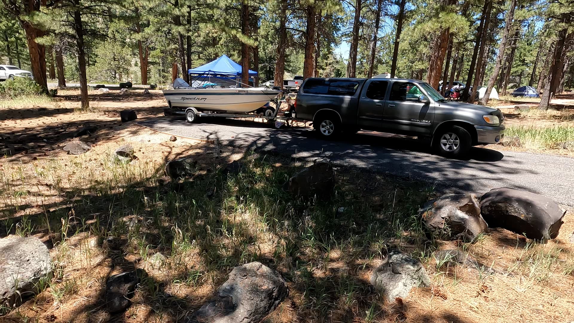 Site 31