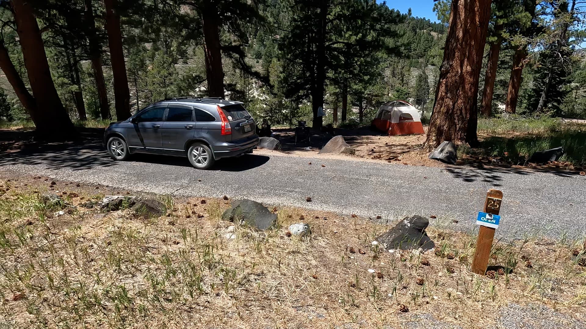 Site 25