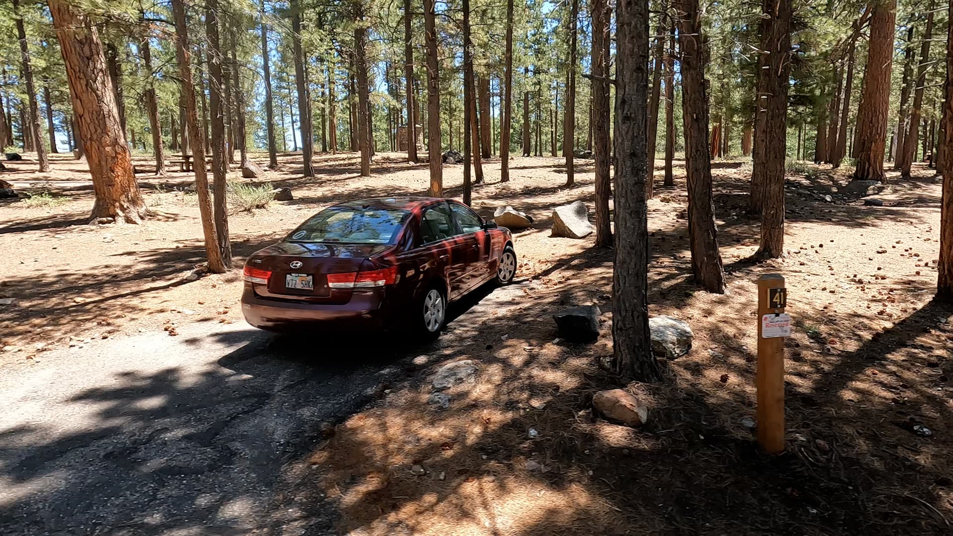 Site 41
