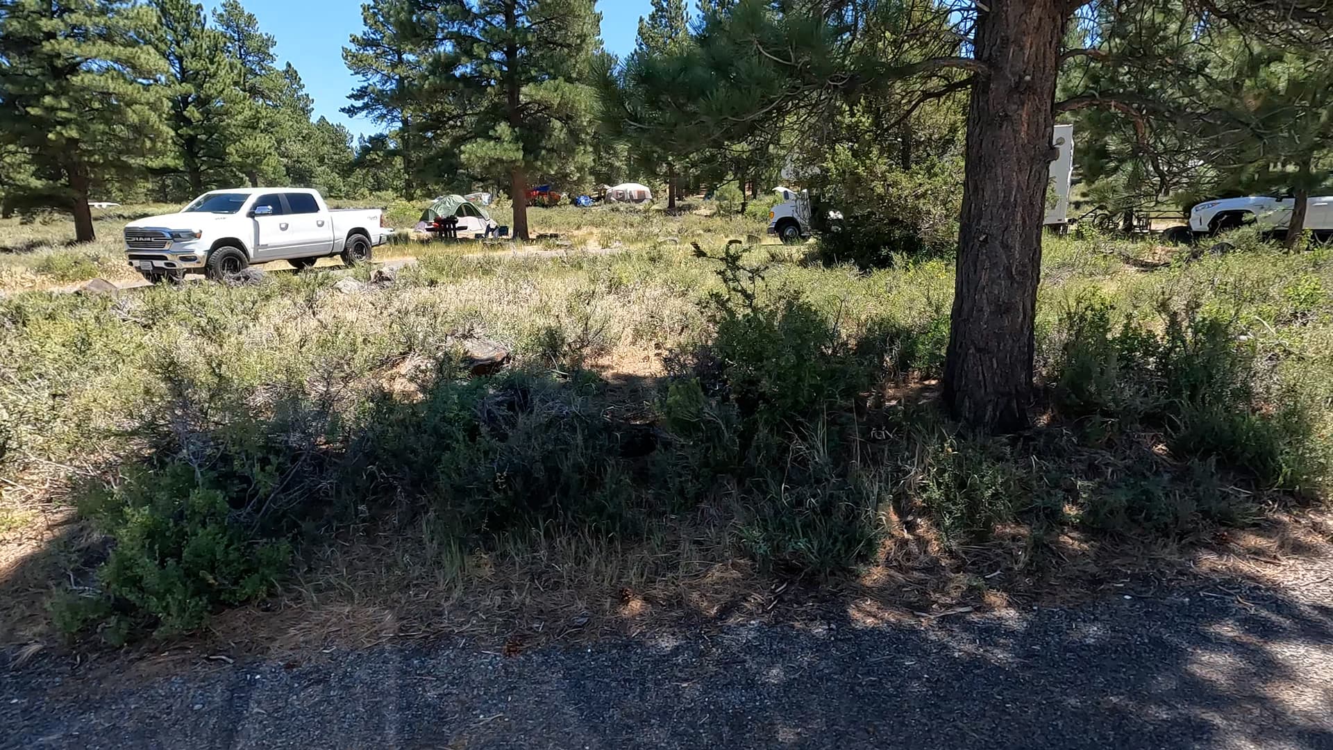 Site 14