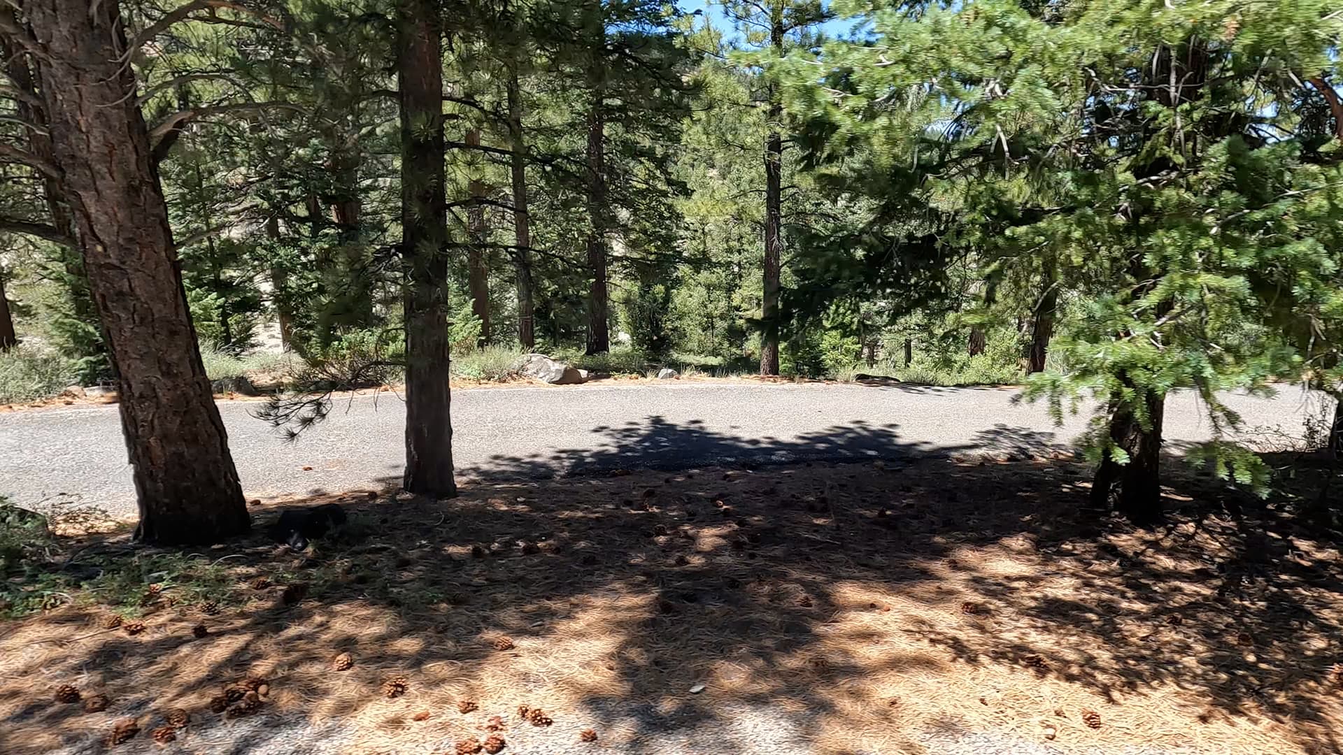 Site 21