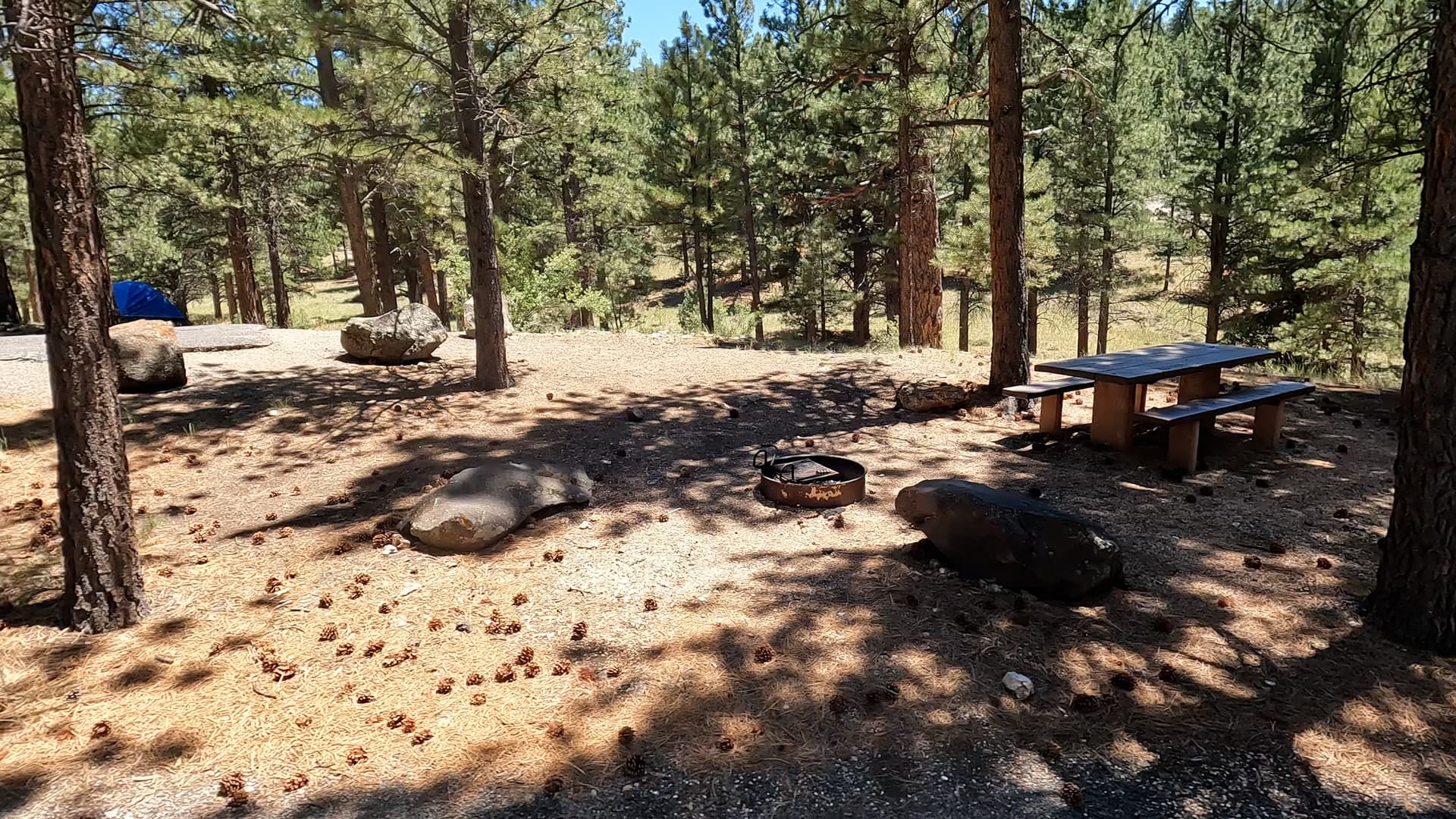 Site 30