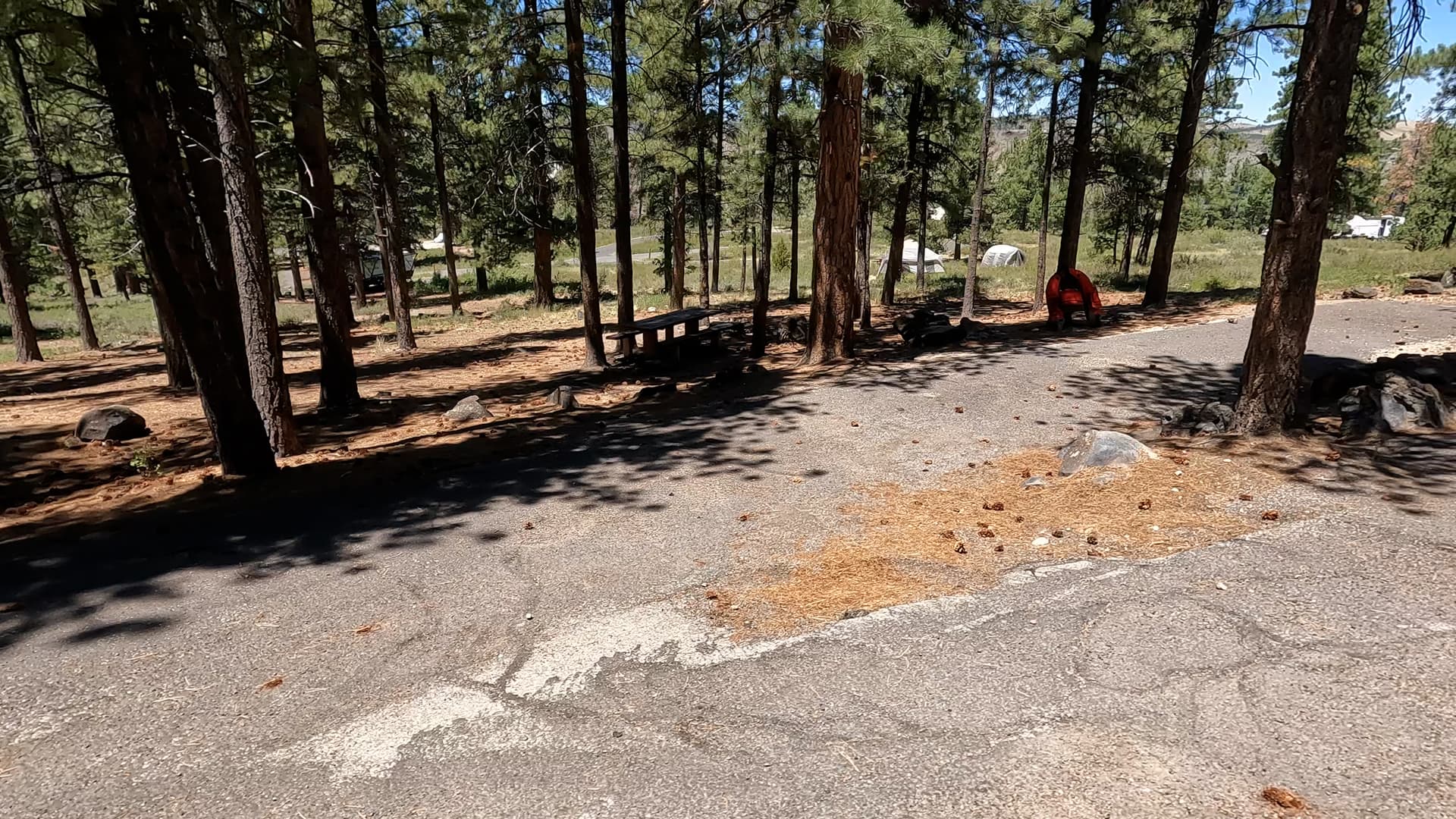 Site 40