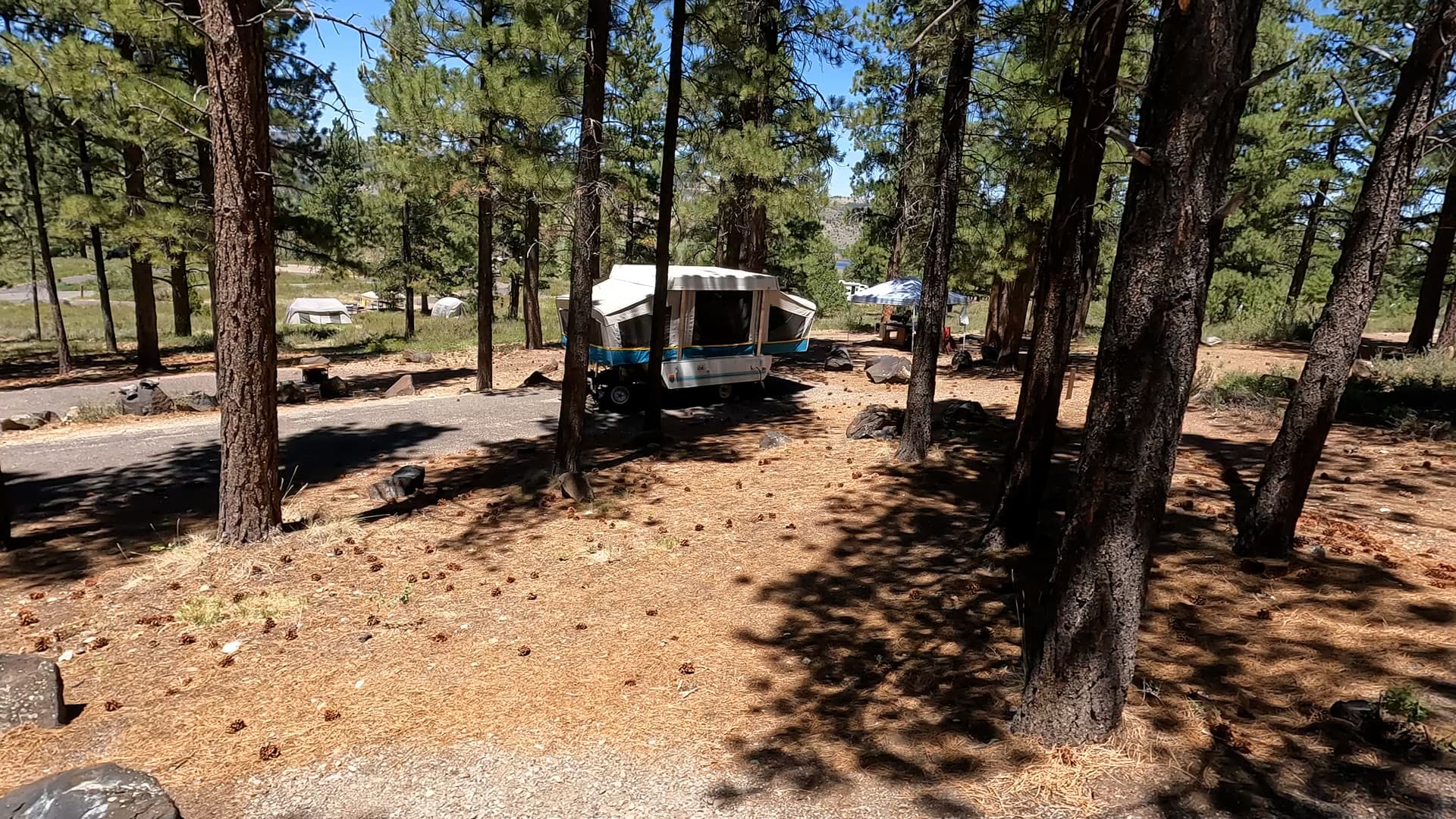 Site 42