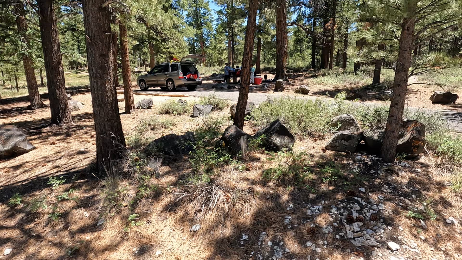 Site 22