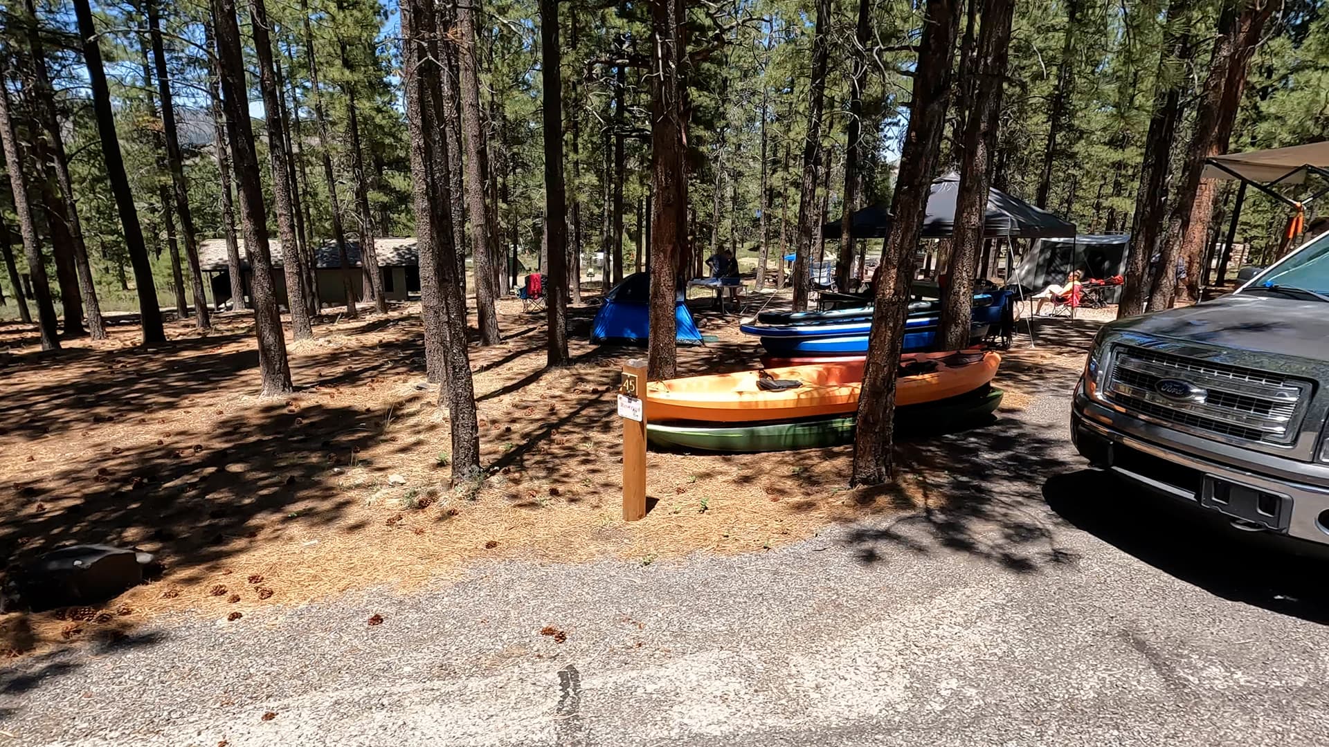 Site 45