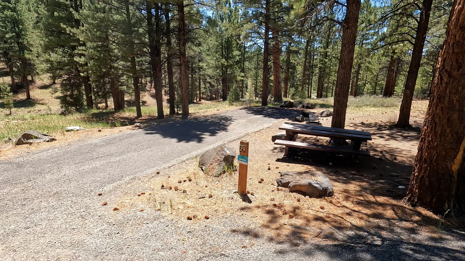 Site 29