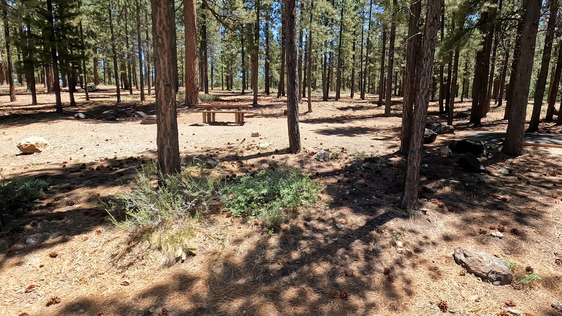 Site 38