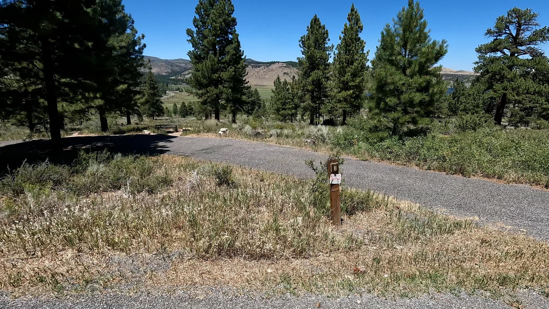 Site 11