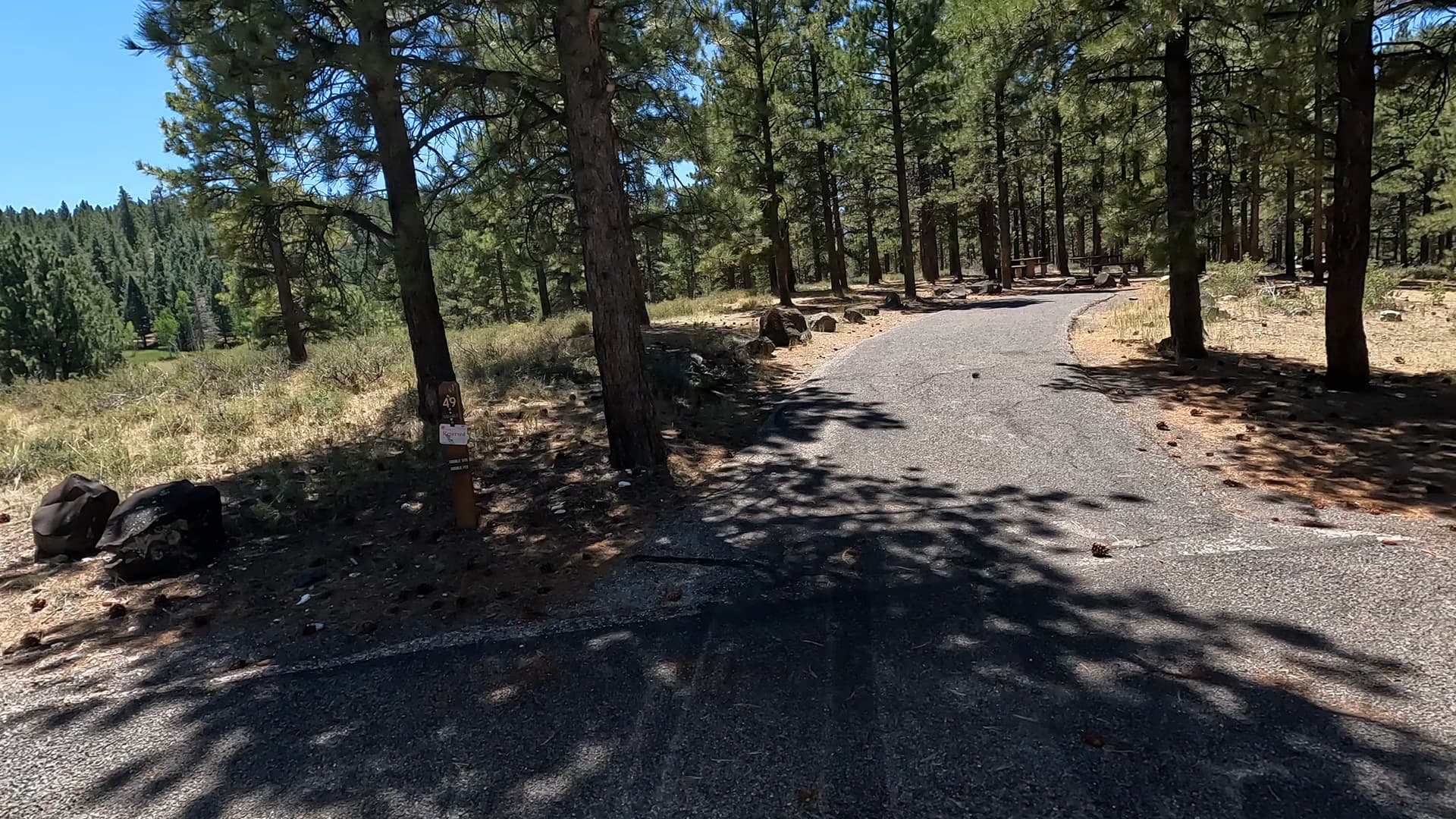 Site 49