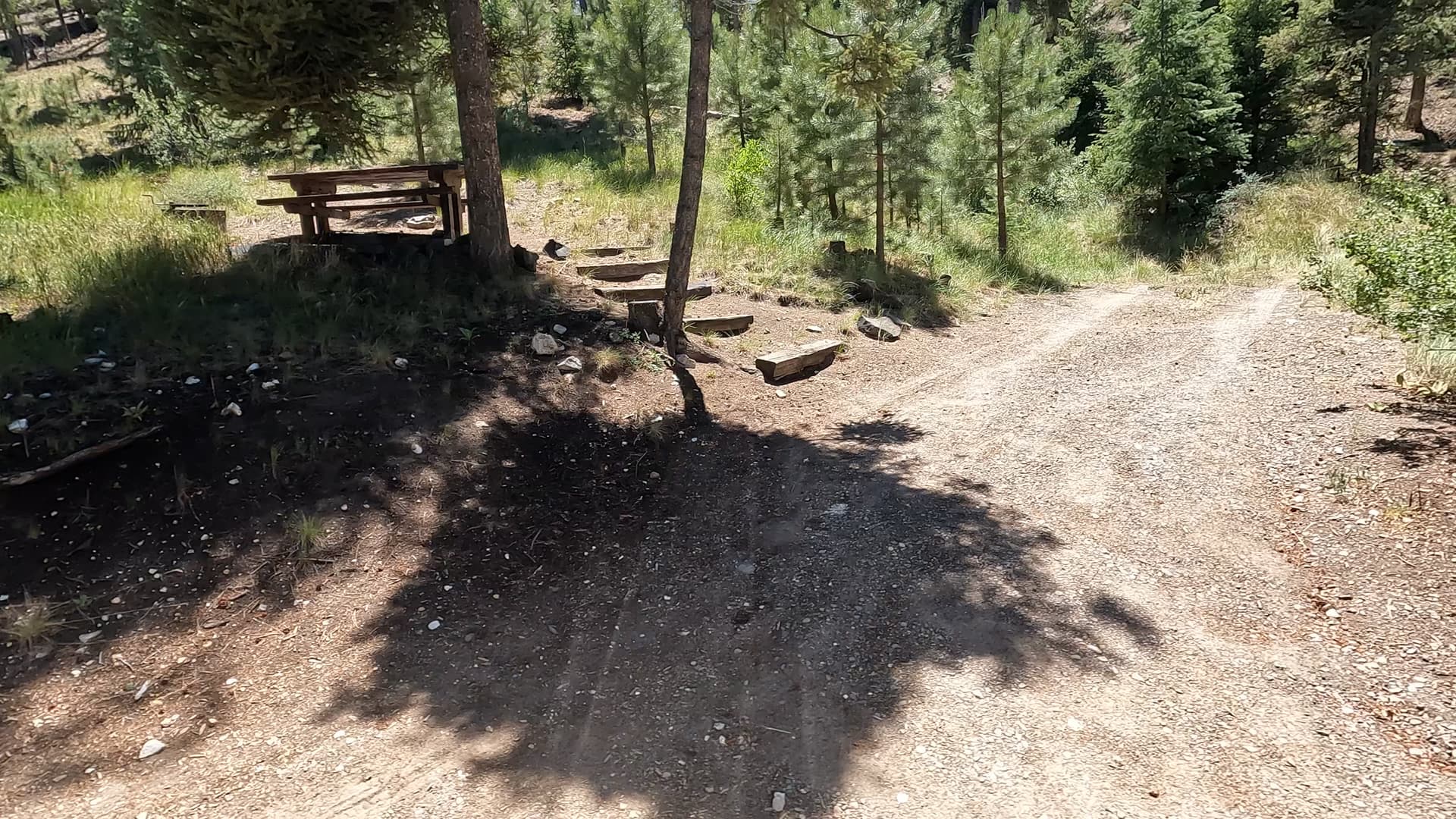 Site 9