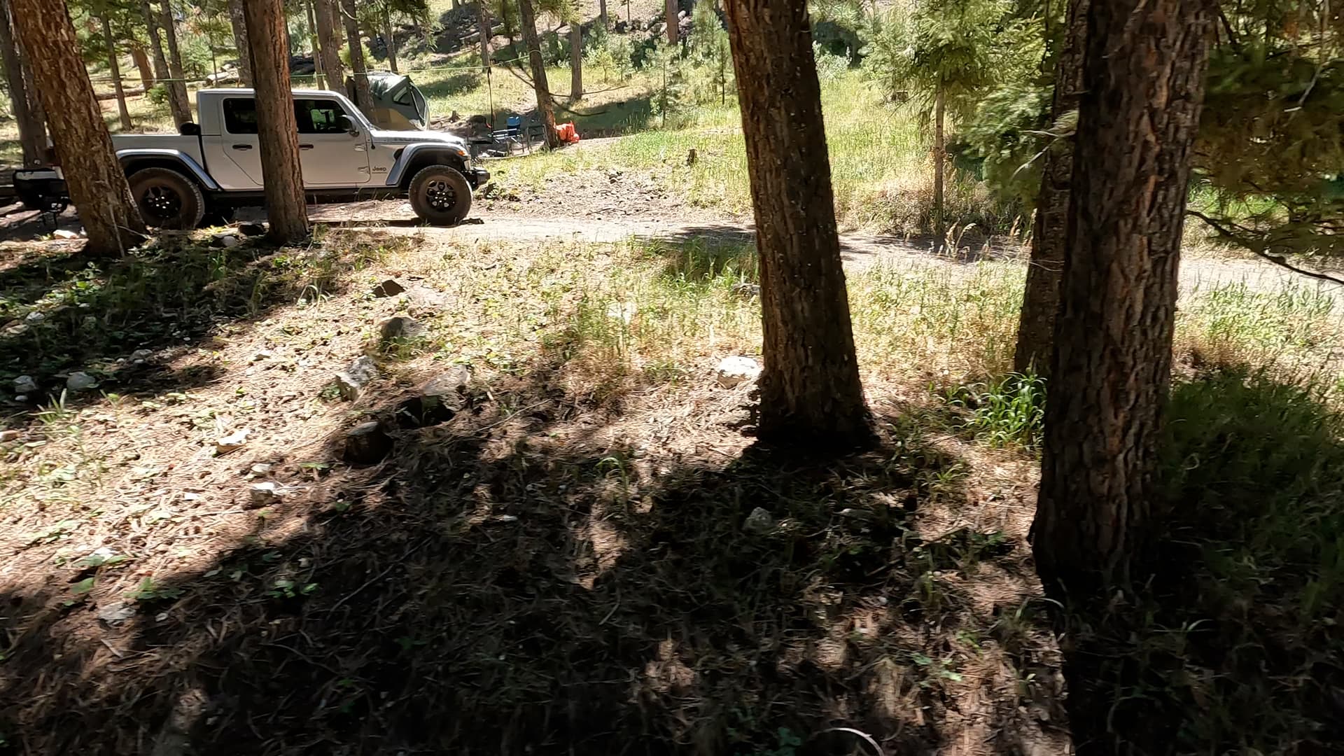 Site 7