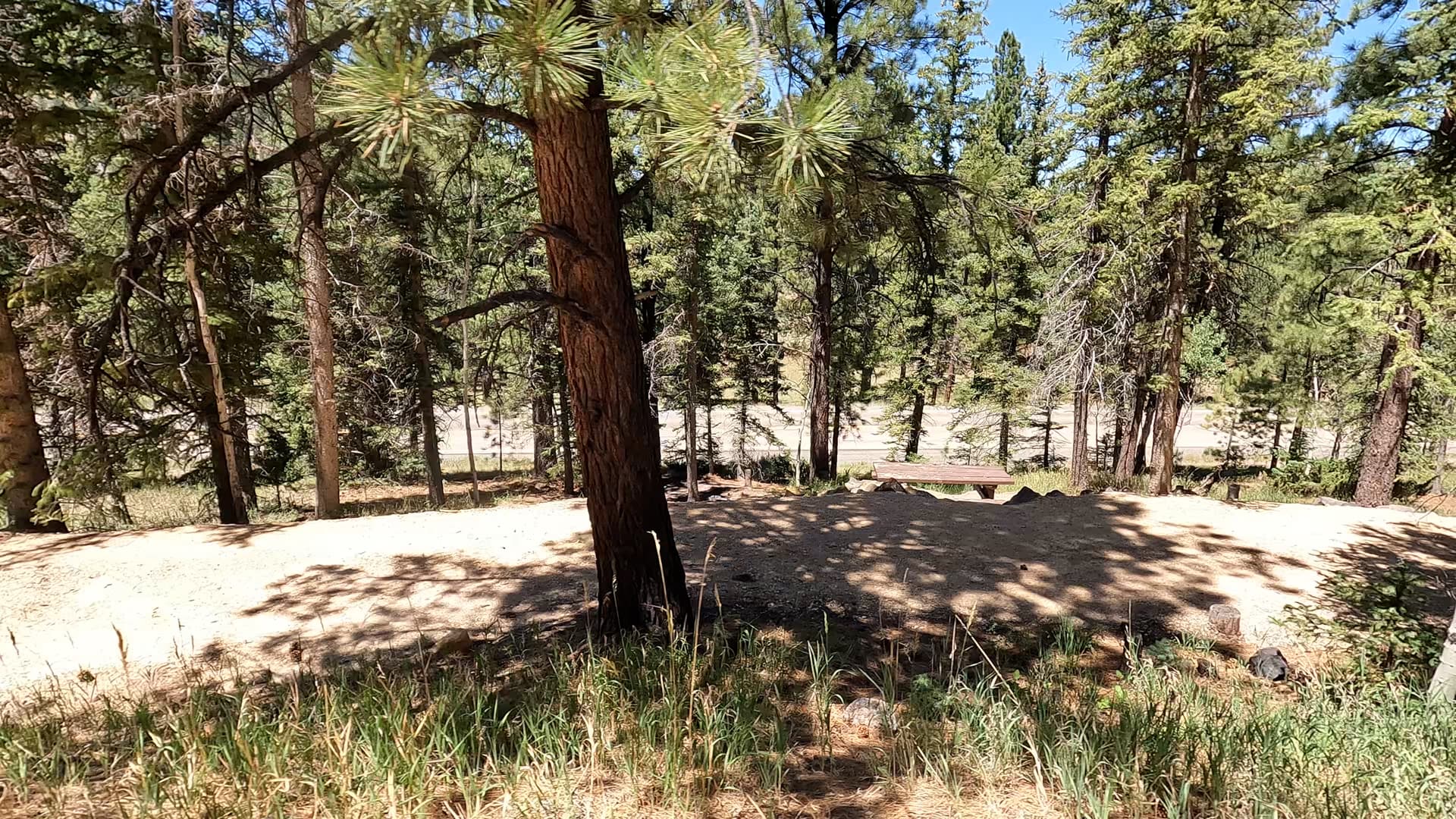 Site 16