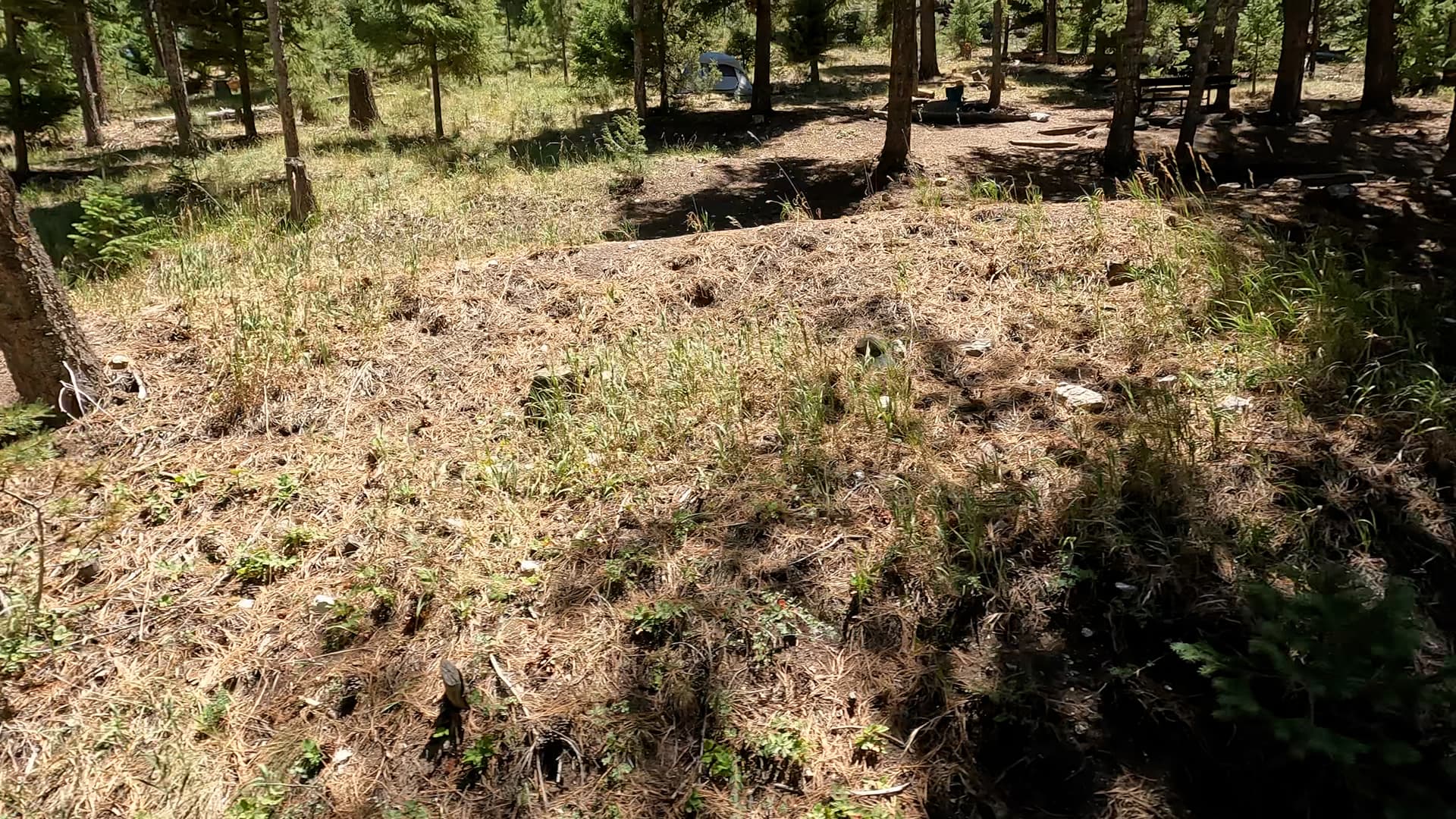 Site 15