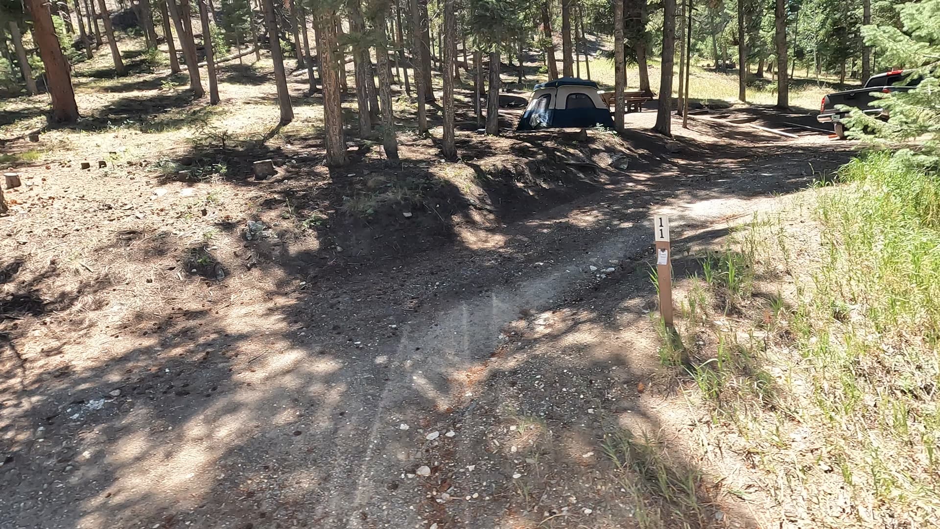 Site 11
