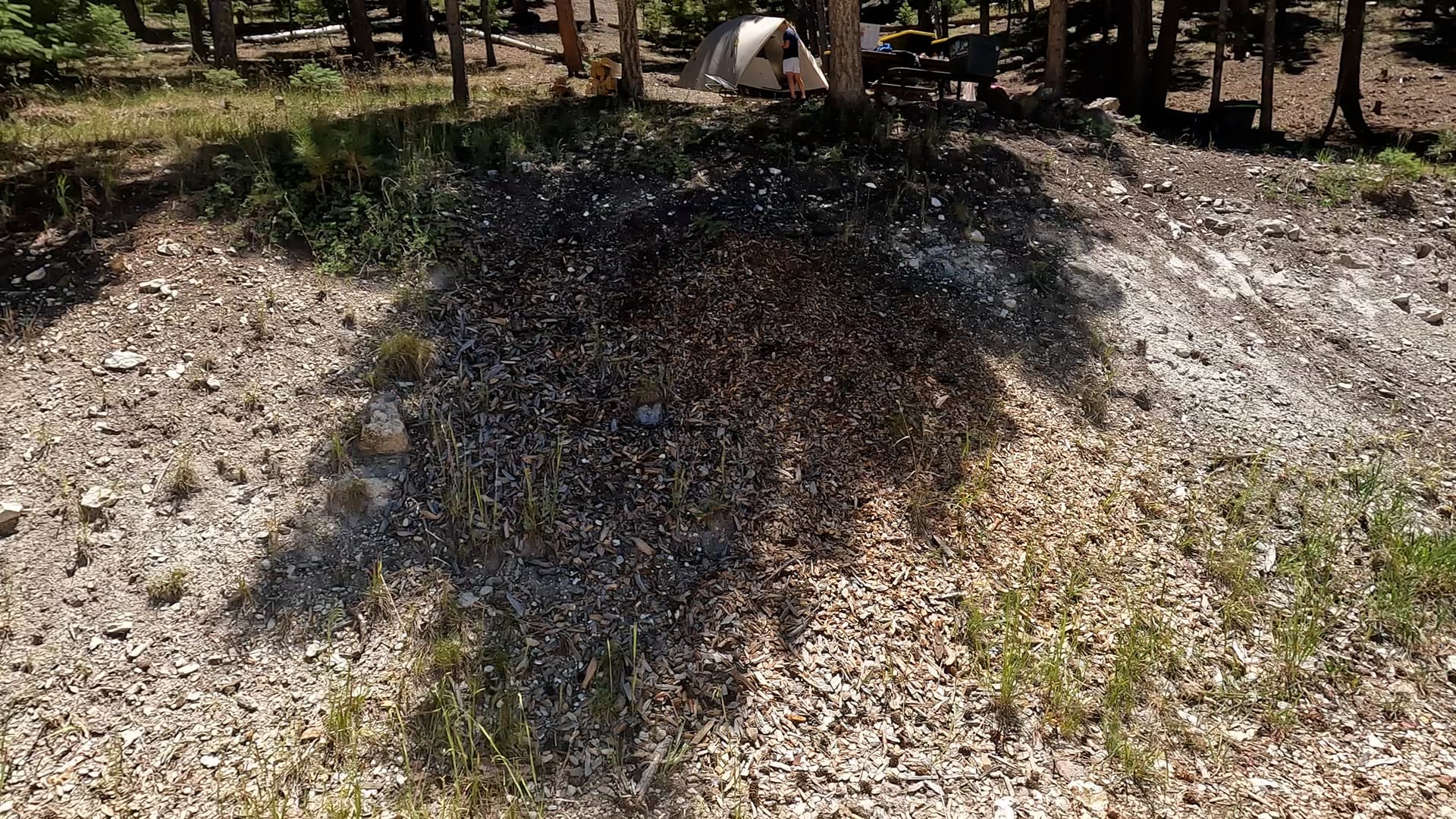 Site 17