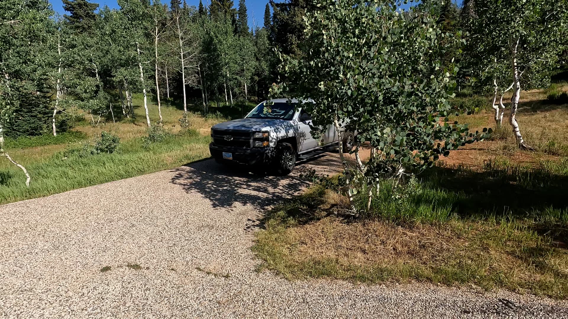 Site 11
