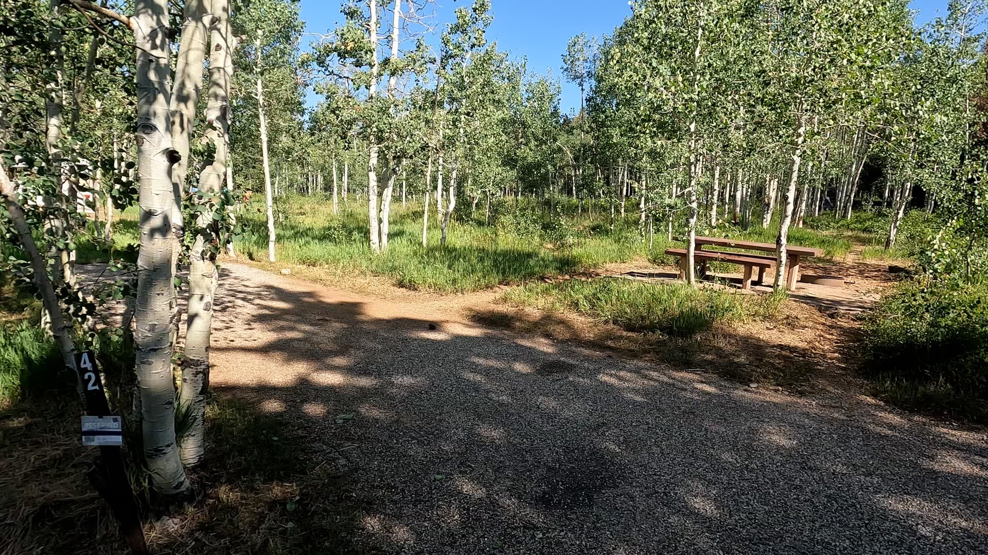 Site 42