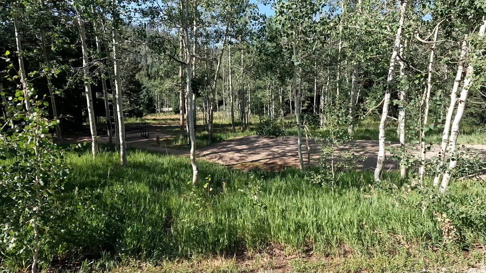 Site 19